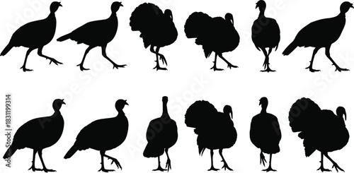 Turkey icon set, black and white bird silhouettes, wildlife posture shapes, farm animal design, Thanksgiving illustration, nature symbol grid