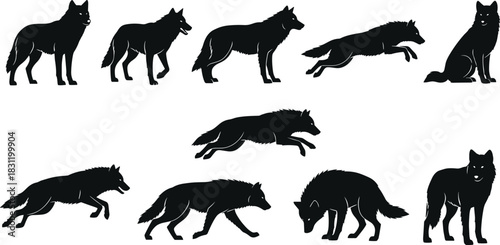 Wolf silhouette set, black animal poses, running, jumping, crouching, sitting, walking, wild canine motion, nature icon, predator shape