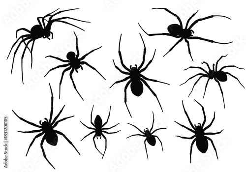 Silhouetted Spiders Group Cluster Black Ink Illustration on White Background Graphic Design Vector Art Concept