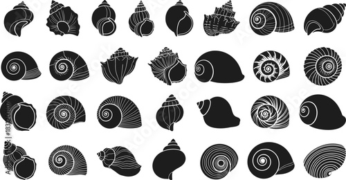 Seashell silhouette grid, black and white illustration, marine shell art, contour drawing, ocean species, spiral, conical, fan shapes