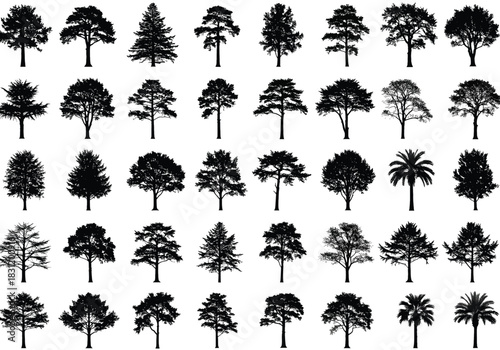 vector Collection of tree silhouettes diverse forest tree shapes in black and white vector design elements for nature illustration