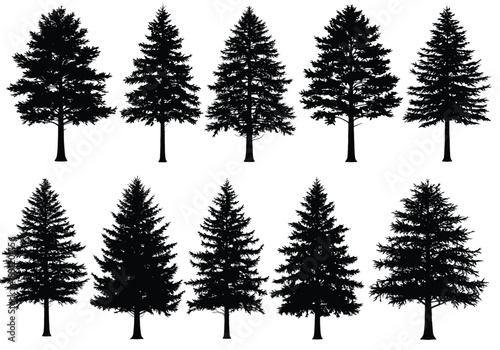 vector Collection of evergreen tree silhouettes vector illustration of various coniferous trees isolated on white background