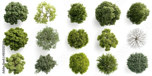 Extensive 3D Collection of Vibrant Green Trees from Above, Perfect for Architectural Visualizations and Garden Designs