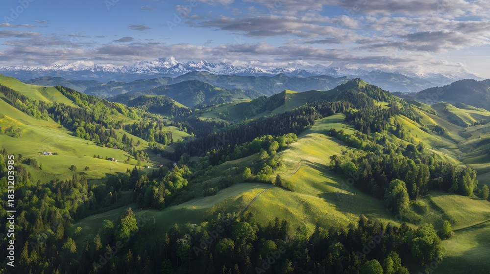 Obraz premium Alpine Summer Panorama Vibrant Wildflower Meadows Snow Peaks Serene Landscape Travel Stock Image