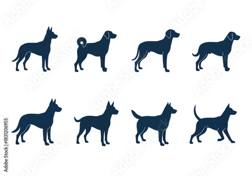 vector Set of dog breed silhouettes vector illustration of various dog poses isolated on white background