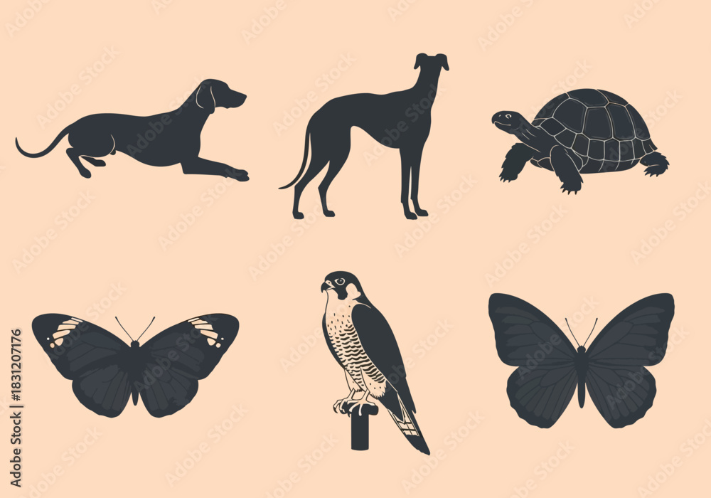 Fototapeta premium vector Collection of animal silhouettes including a dog greyhound turtle butterfly and falcon vector illustration isolated on beige background