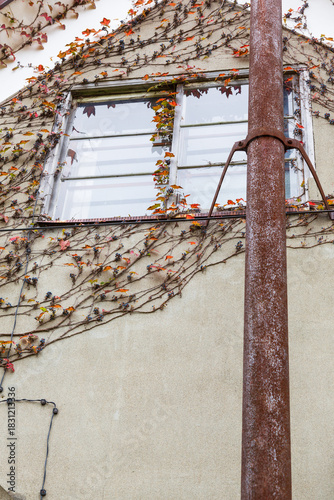 古い建物の秋模様