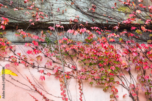 古い建物の秋模様