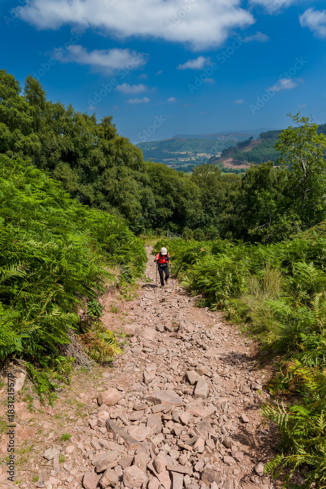 Fototapeta premium Hiker with poles and backpack ascending a steep rocky path in Brecon Beacons, Wales