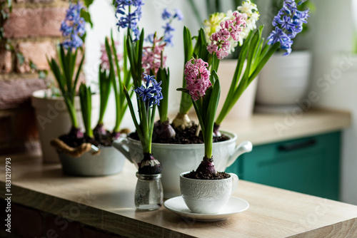 Floral cozy home decor for Easter holiday celebration. Fresh blooming spring hyacinth flowers. Beautiful house interior design, seasonal decoration