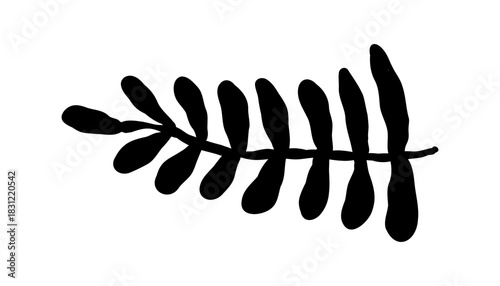 Simple vector leaf with thick hand drawn lines. Minimal botanical element in monochrome style. Vector illustration on an isolated background.
