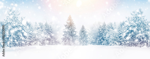 Snow on the trees. Winter landscape. Snowfall in the forest.