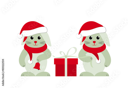 bunnies with caps and scarfs and gift isolated on white background