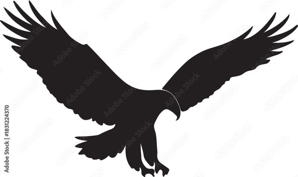 Fototapeta premium Flying eagle silhouette with spread wings, majestic predator bird