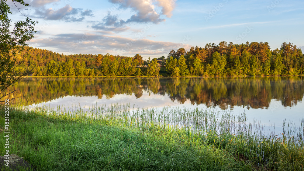 Fototapeta premium Lake with a forest in the background
