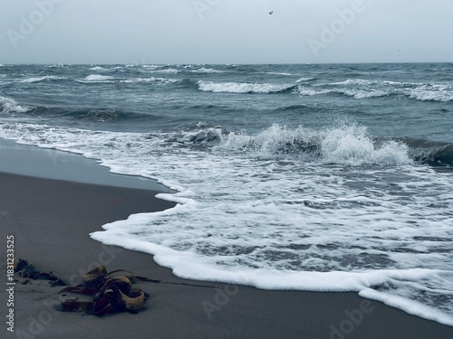 Wellen auf der Landzunge Grenen nahe Skagen in Dänemark an einem wolkigen und windigen Tag