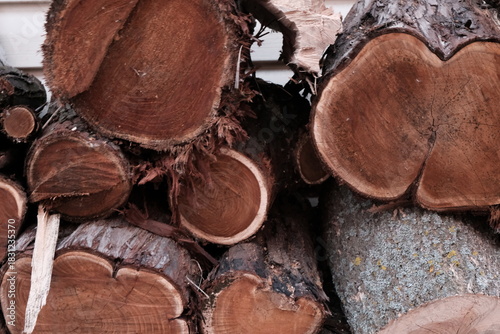 Wooden natural sawn logs closeup for background or abstraction, fashion flat lay photo