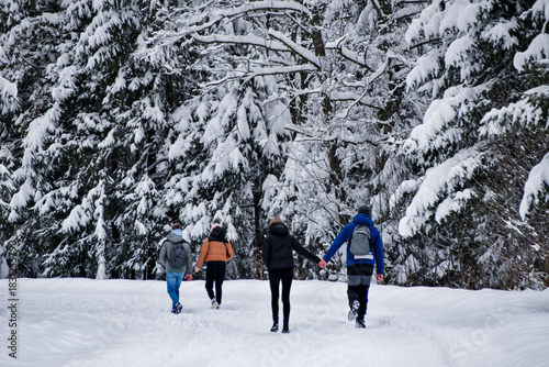 Fototapeta Naklejka Na Ścianę i Meble -  Tatra National Park in Poland.
Snowy winter landscape. Snow covered trees in forest.