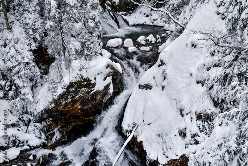 Fototapeta Naklejka Na Ścianę i Meble -  Tatra National Park in Poland.
Snowy winter landscape. Snow covered trees in forest.