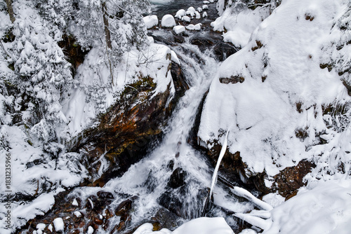 Fototapeta Naklejka Na Ścianę i Meble -  Tatra National Park in Poland.
Snowy winter landscape. Snow covered trees in forest.