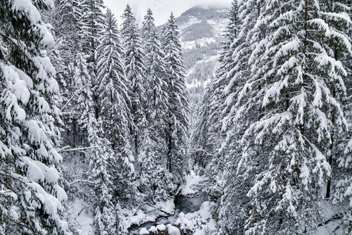 Fototapeta Naklejka Na Ścianę i Meble -  Tatra National Park in Poland.
Snowy winter landscape. Snow covered trees in forest.