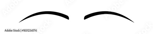 Simple close-up of two arched black eyebrows on plain white background