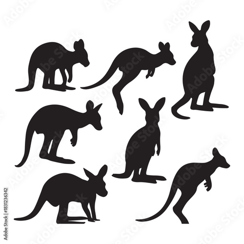 a set of kangaroo vector silhouette