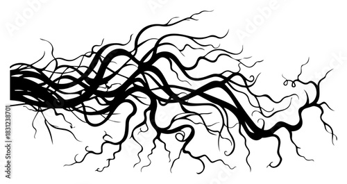 Tangled roots or vines texture, creepy nature organic lines vector sketch illustration