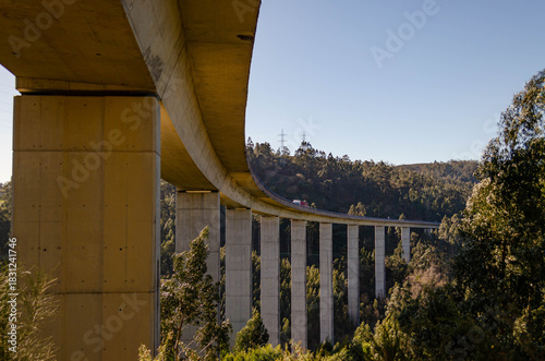 Massive Concrete Highway Viaduct Over Deep Forest Valley - Modern Infrastructure