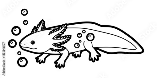 Cute Axolotl Vector Illustration Black and White Outline Aquatic Animal for Children Coloring Book