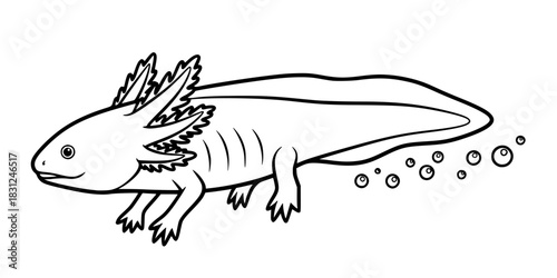 Cute Axolotl Vector Illustration Black and White Outline Aquatic Animal for Children Coloring Book