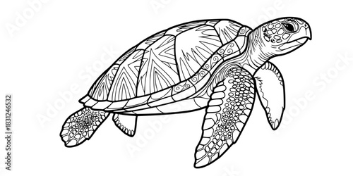 Sea Turtle Vector Illustration Black and White Outline Ocean Animal for Kids Coloring Book Design
