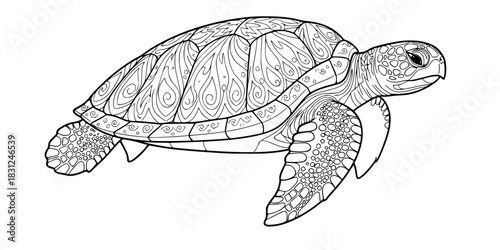 Sea Turtle Vector Illustration Black and White Outline Ocean Animal for Kids Coloring Book Design
