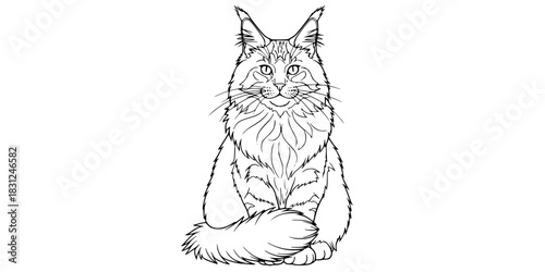 Fluffy Maine Coon Cat Vector Outline Cute Pet Illustration for Children Coloring Book Design