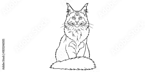 Fluffy Maine Coon Cat Vector Outline Cute Pet Illustration for Children Coloring Book Design