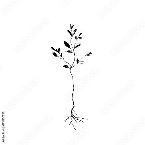 Unlock the secrets of ancient wisdom: an intriguing glimpse into the past that will leave you in awe and wonder