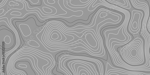 White wave paper curved reliefs abstract background, Abstract topographic contours map background, topography line map. Vintage outdoors style. World map Template. Stock vector	
