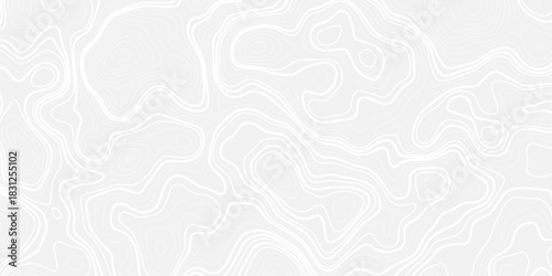 White wave paper curved reliefs abstract background, Abstract topographic contours map background, topography line map. Vintage outdoors style. World map Template. Stock vector	
