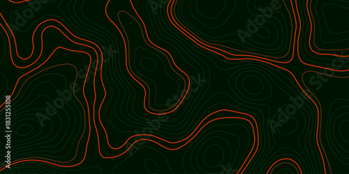 The concept of a conditional geography scheme and the terrain path. Topographic map. Geographic mountain relief. Abstract lines background. Contour maps. Vector illustration.	