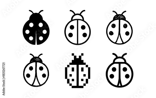 Six different styles of ladybug icons in black and white design