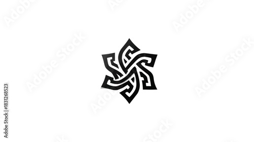 Modern abstract geometric star icon. Intricate black symmetrical design with interwoven lines on a white background, concept of connection.