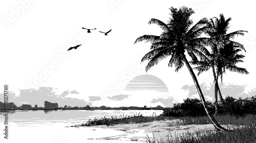 Monochrome Tropical Beach Illustration with Palm Trees, Ocean Shore, and Flying Birds at Sunset or Sunrise