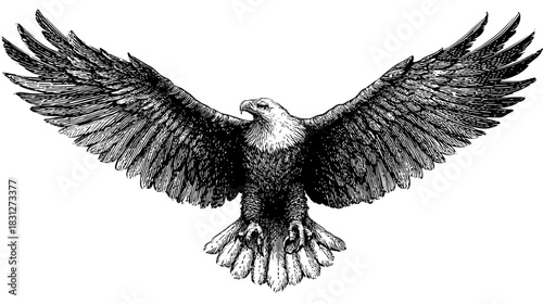Dynamic black and white illustration of a soaring eagle with outstretched wings, symbolizing freedom, power, and strength.