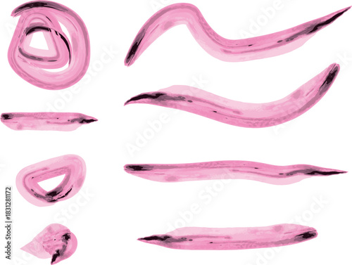 Pink Watercolor Brush Marks Pack