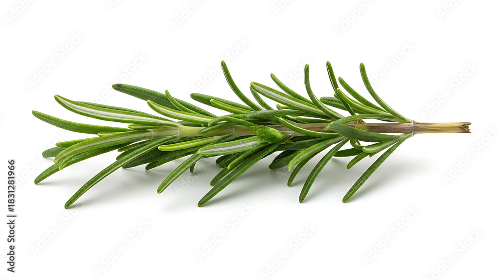 Fototapeta premium Fresh aromatic rosemary sprig, a vibrant green herb for culinary use and seasoning dishes