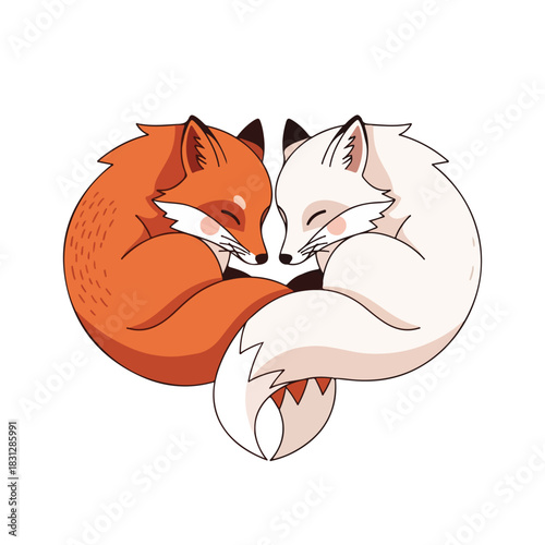 Illustration of a red fox and white fox curled up together, sleeping peacefully in a loving embrace, conveying Valentine's Day pet love on a clean white background.