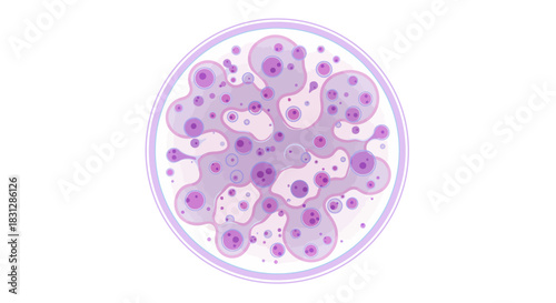 cell culture growth in a petri dish viewed under a microscope for medical research and microbiology studies perfect for illustrating biotech innovation