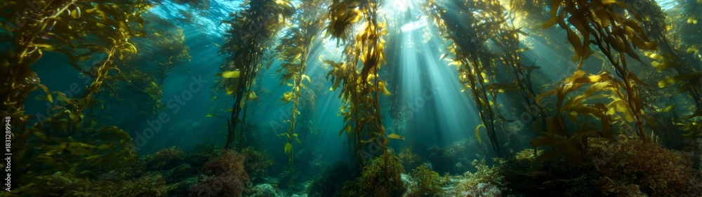 Fototapeta premium Underwater kelp forest exploration ocean depths hdr panoramic photography mystical light