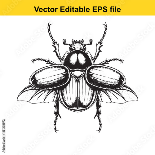 Detailed black and white vector illustration of a scarab beetle with open wings, isolated on white background, perfect for vintage or nature designs