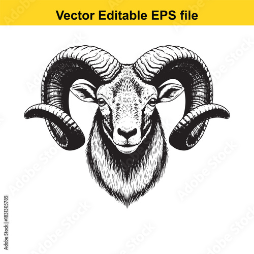 Detailed black and white engraving illustration of a majestic bighorn ram head with large curved horns, isolated on white background